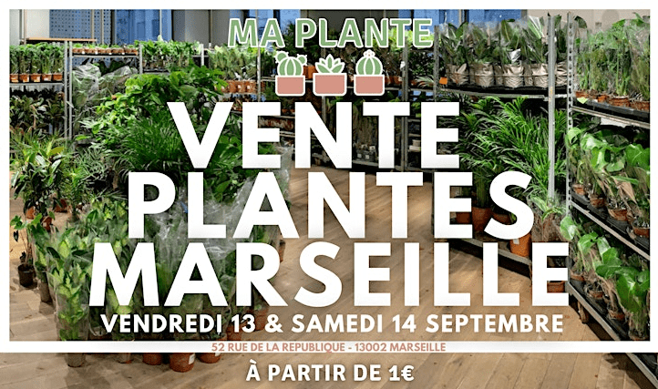 Vente de Plantes Marseille - République - Marseille - 13 & 14 septembre 2024